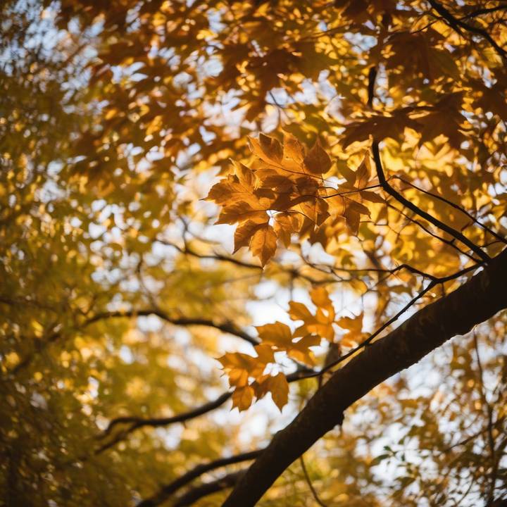 Person laughing while holding a pumpkin in a fall setting.